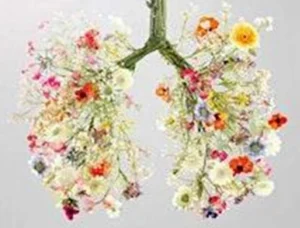 Flower lungs
