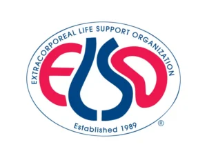 Elso logo